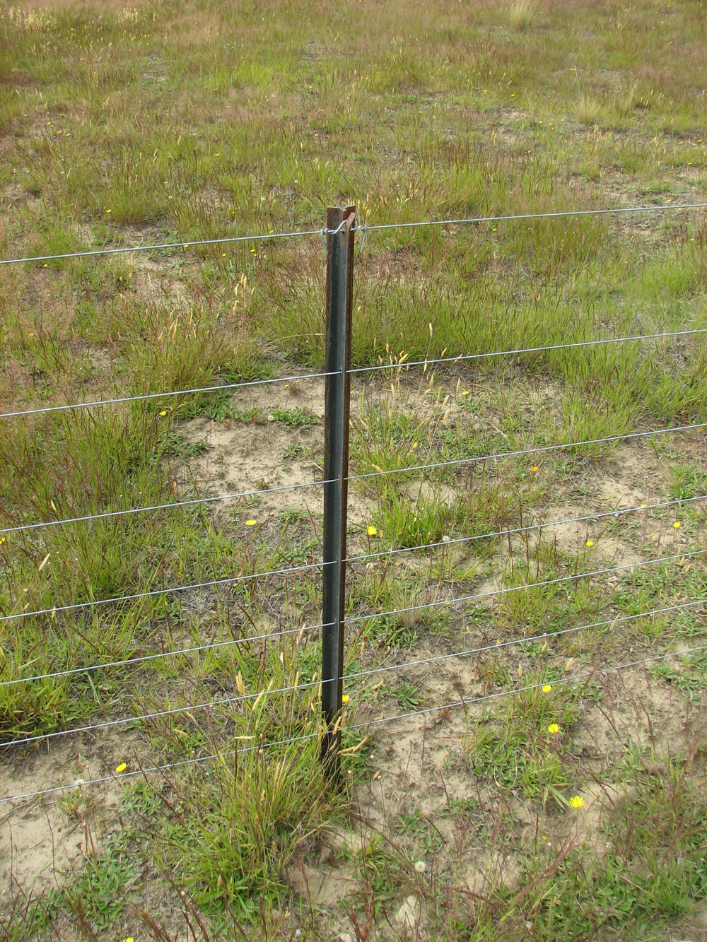 Wire Fencing stakes